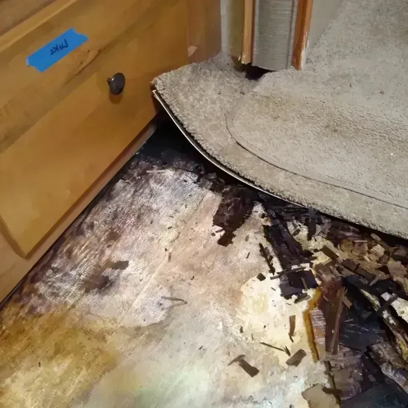 Wood Floor Water Damage in Bel Air South, MD